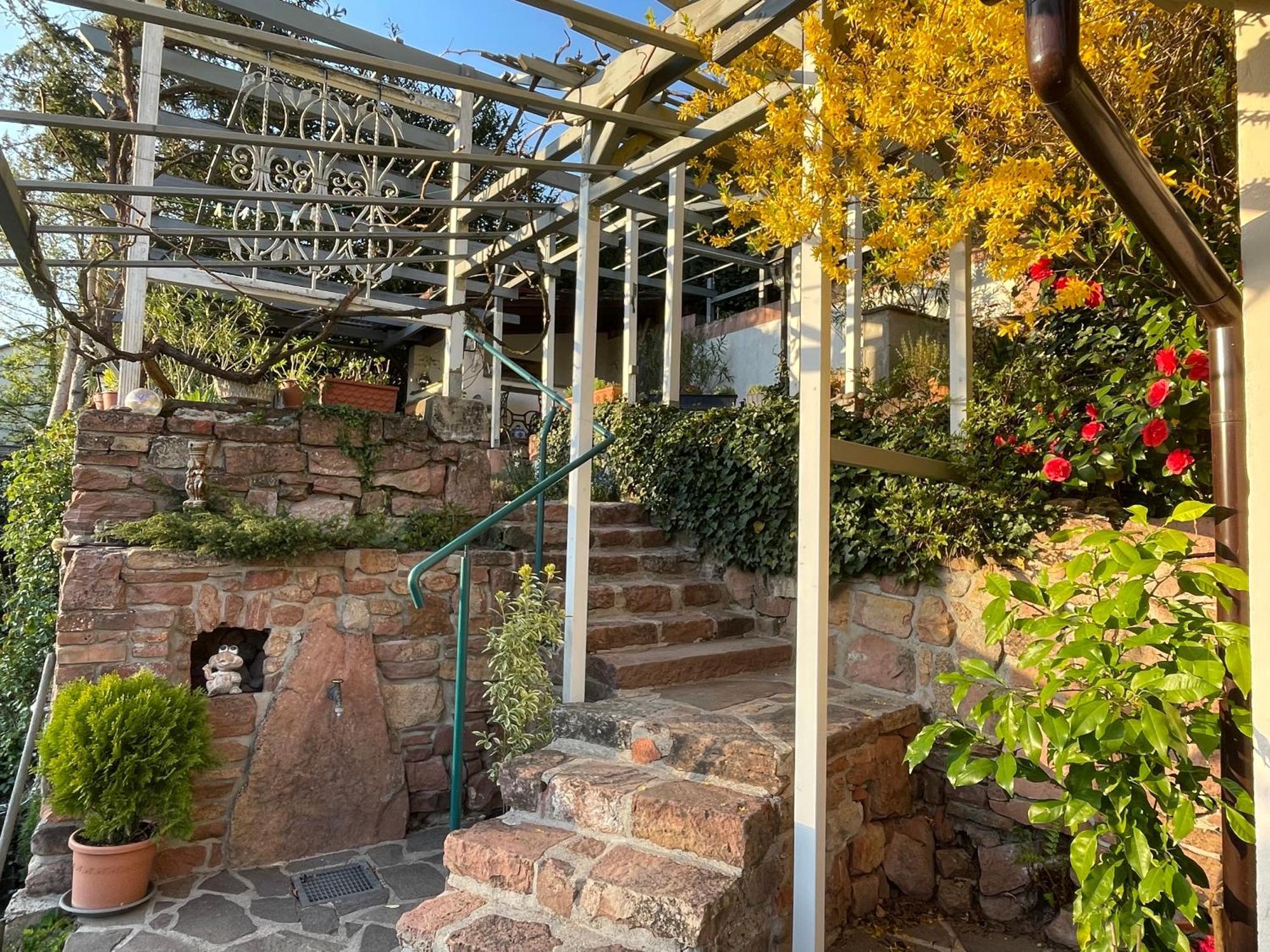 היידלברג Am Berggarten מראה חיצוני תמונה