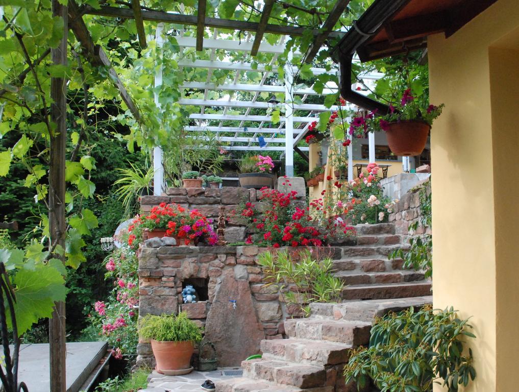 היידלברג Am Berggarten מראה חיצוני תמונה