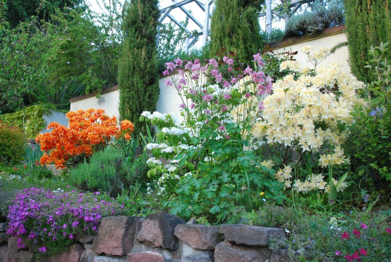 היידלברג Am Berggarten מראה חיצוני תמונה